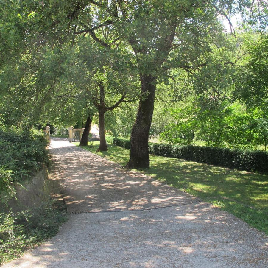 Agriturismo Podere Filicaia 圣乔瓦尼瓦当 外观 照片