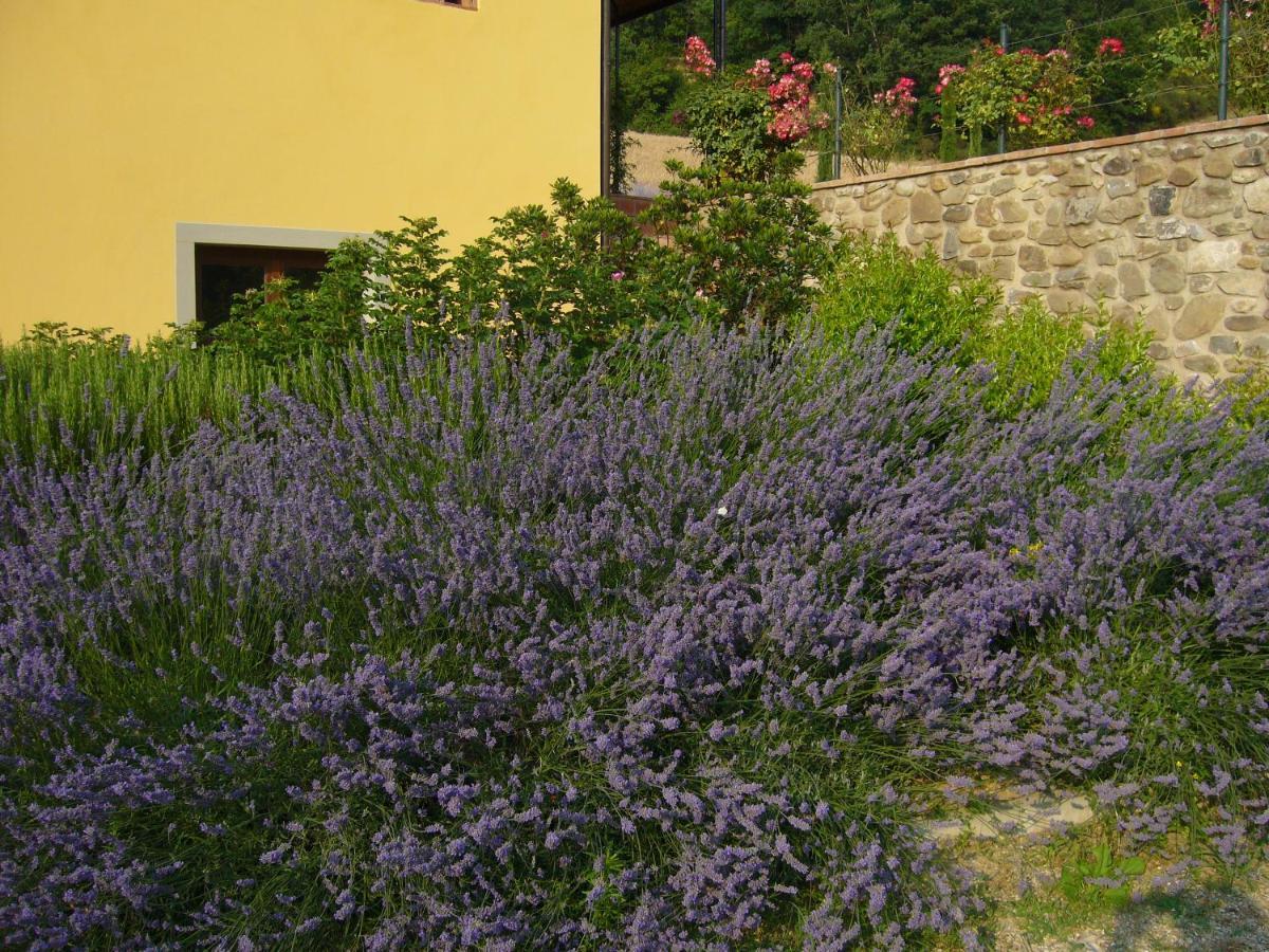 Agriturismo Podere Filicaia 圣乔瓦尼瓦当 外观 照片